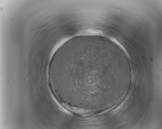 X0000065261477200602211237