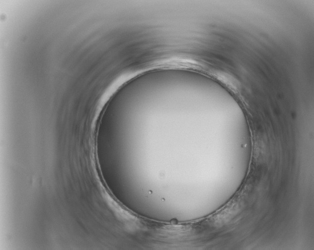 X0000065261478200602211237