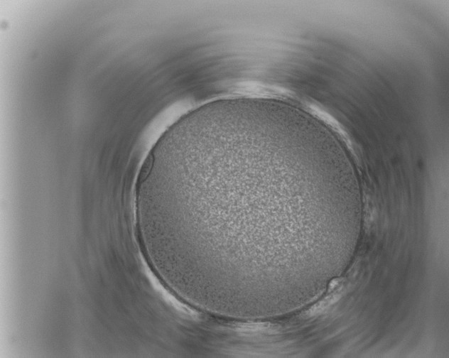 X0000065261479200602211237