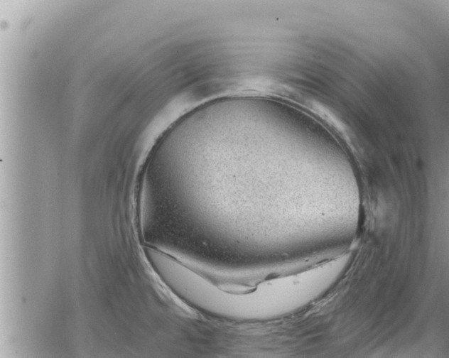 X0000065261480200602211237