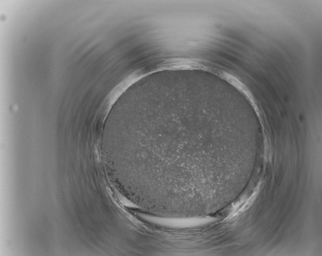 X0000065261481200602211237