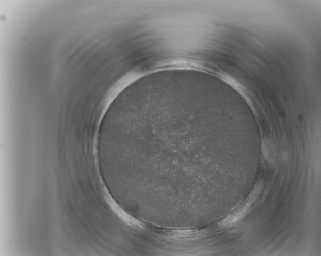 X0000065261482200602211237