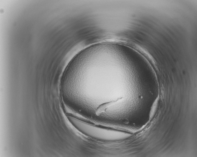 X0000065261483200602211237