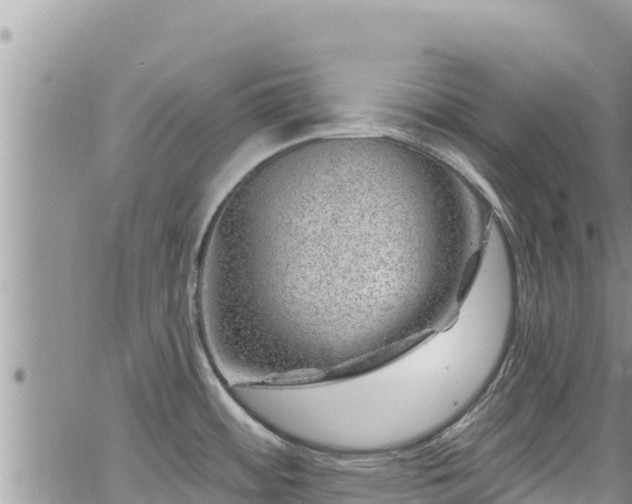 X0000065261484200602211237