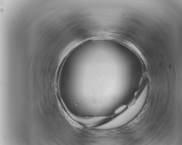 X0000065261485200602211237