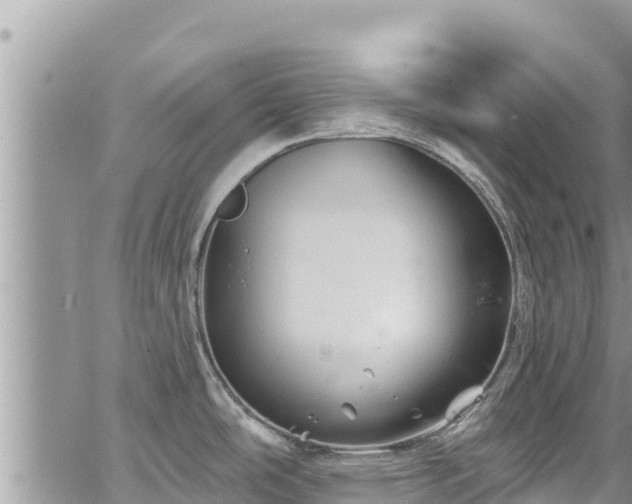 X0000065261486200602211237