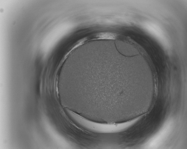 X0000065261487200602211237