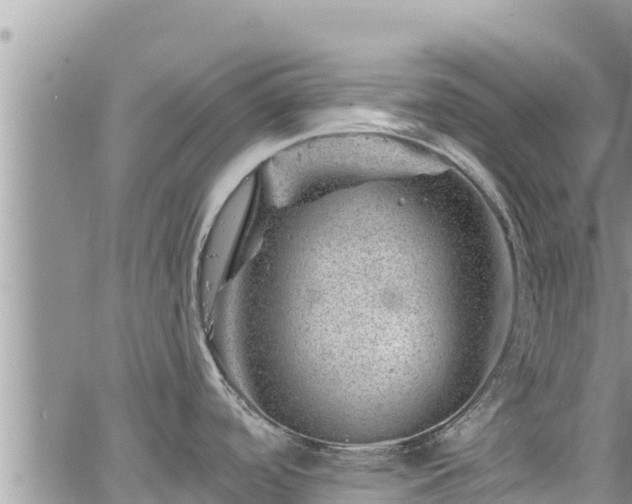 X0000065261488200602211237