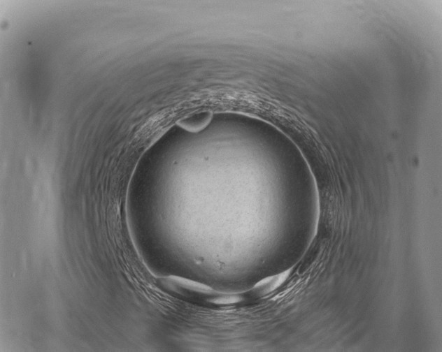 X0000065261489200602211236