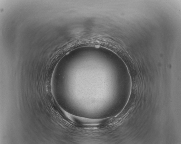 X0000065261490200602211236