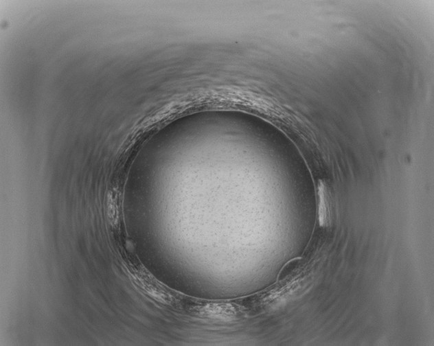 X0000065261491200602211236