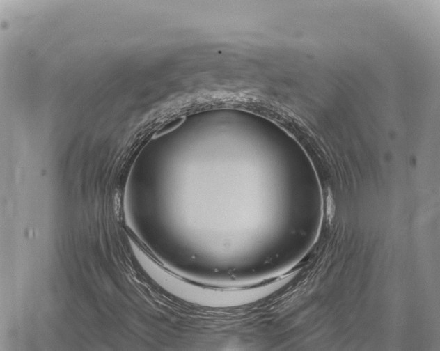 X0000065261492200602211236