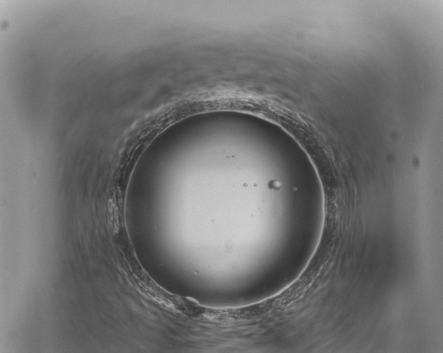 X0000065261493200602211236