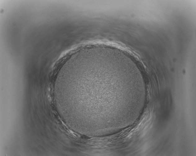 X0000065261494200602211236