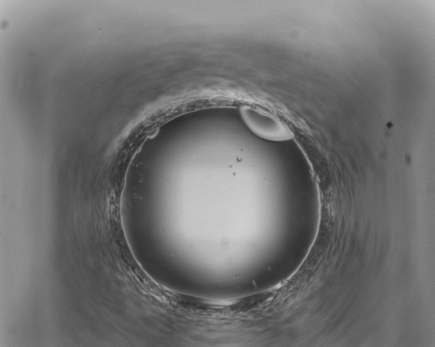 X0000065261495200602211236