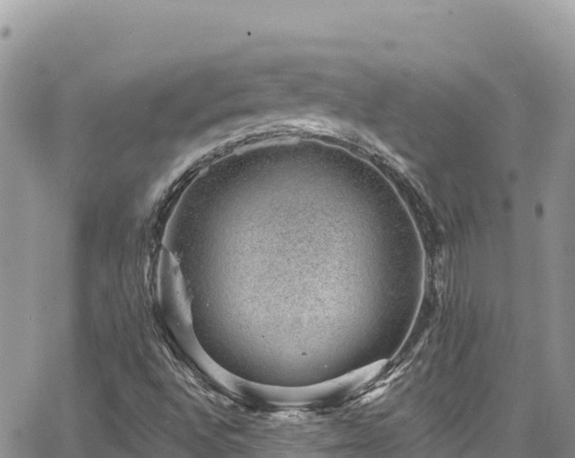 X0000065261496200602211236