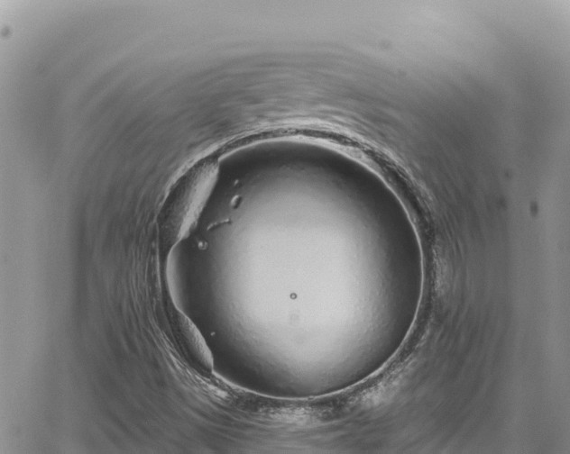 X0000065261497200602211236