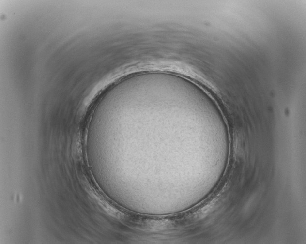 X0000065261498200602211236