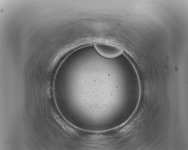 X0000065261499200602211236