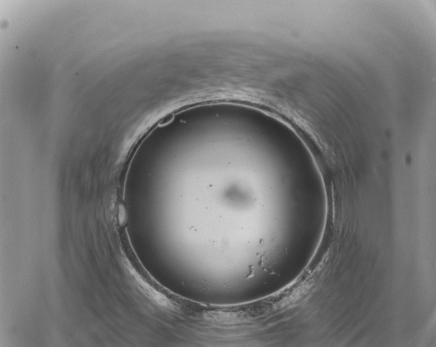 X0000065261500200602211236