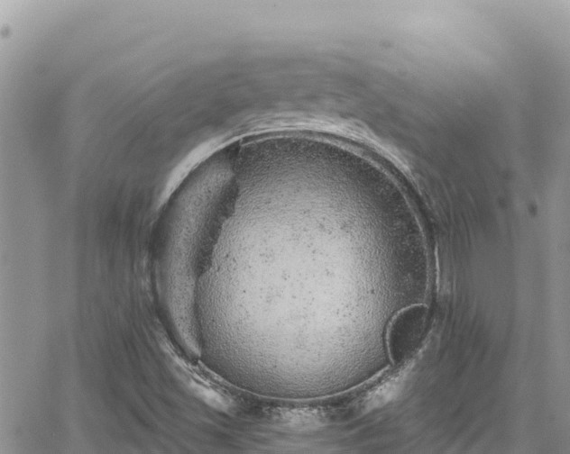 X0000065261501200602211236