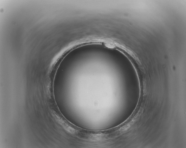 X0000065261502200602211236