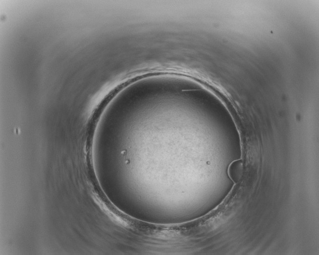 X0000065261503200602211236