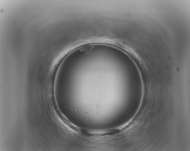 X0000065261504200602211237