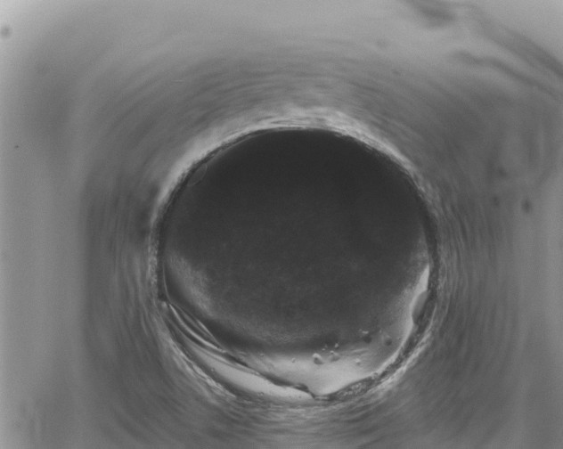 X0000065261506200602211237