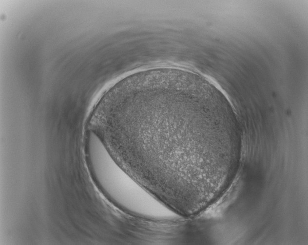 X0000065261508200602211237