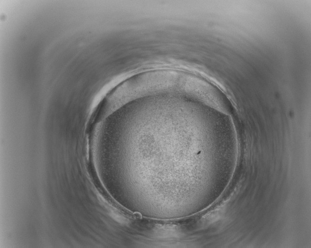 X0000065261509200602211237