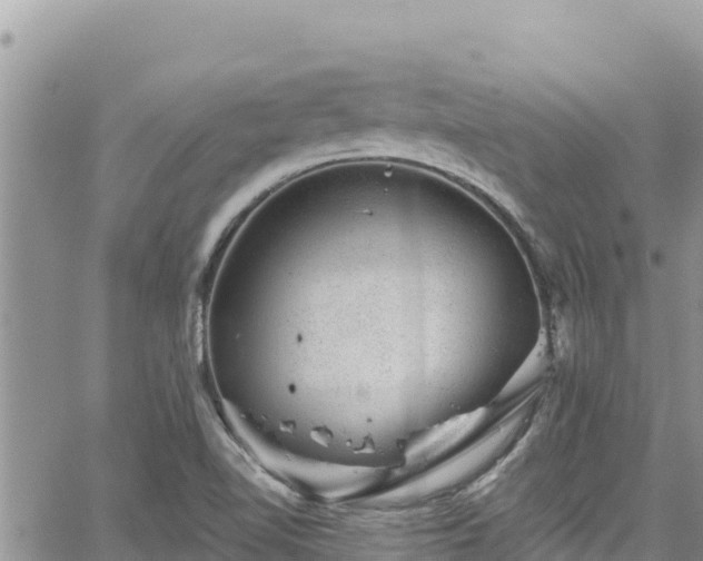 X0000065261510200602211237