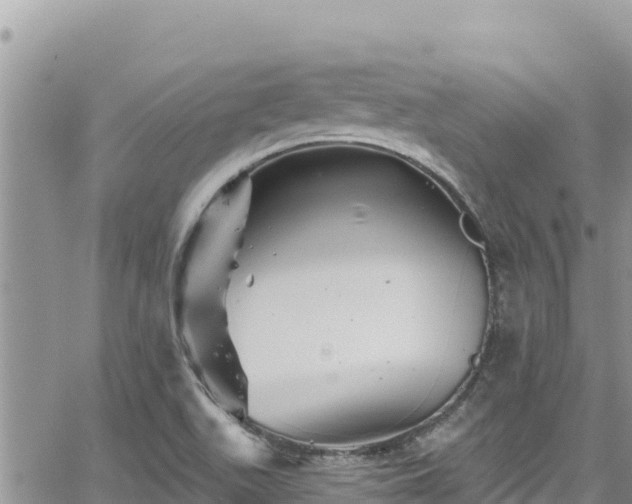 X0000065261511200602211237