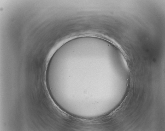 X0000065261512200602211237