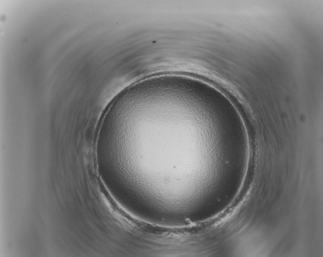 X0000065261513200602211237