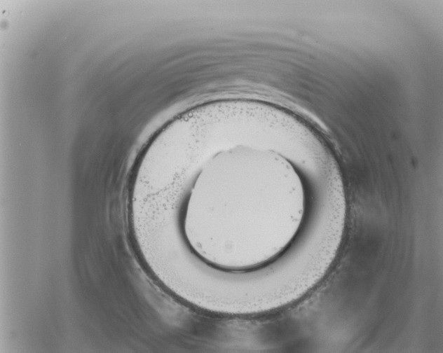 X0000065261514200602211237