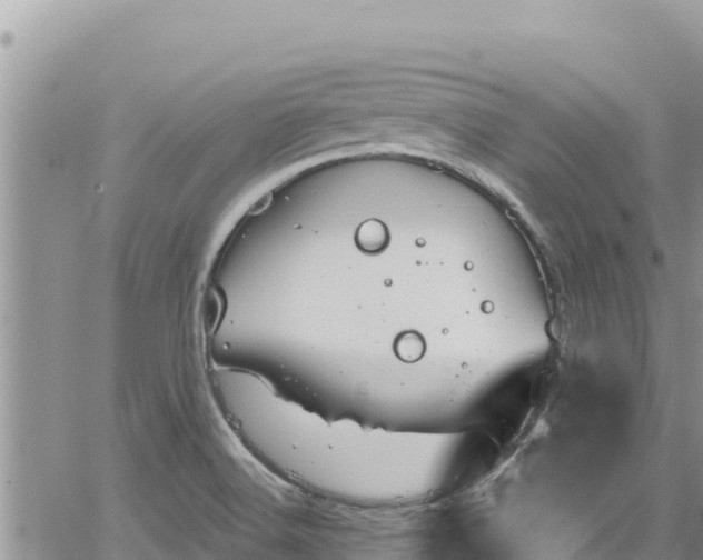 X0000065261516200602211237