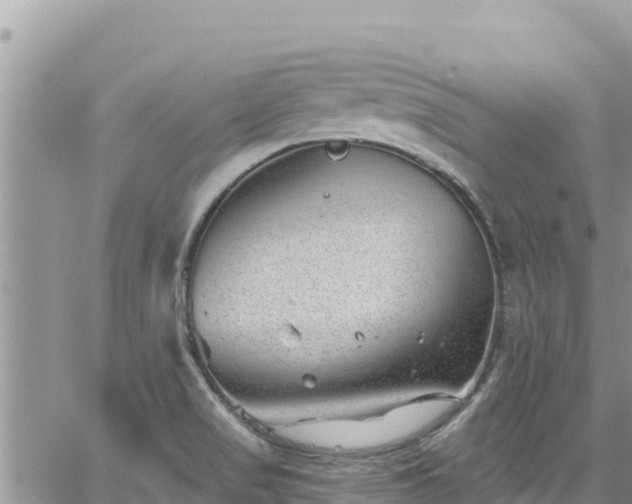 X0000065261517200602211237