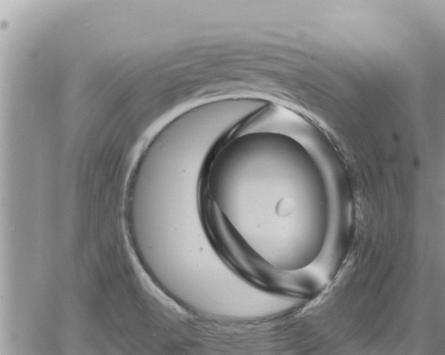 X0000065261518200602211237