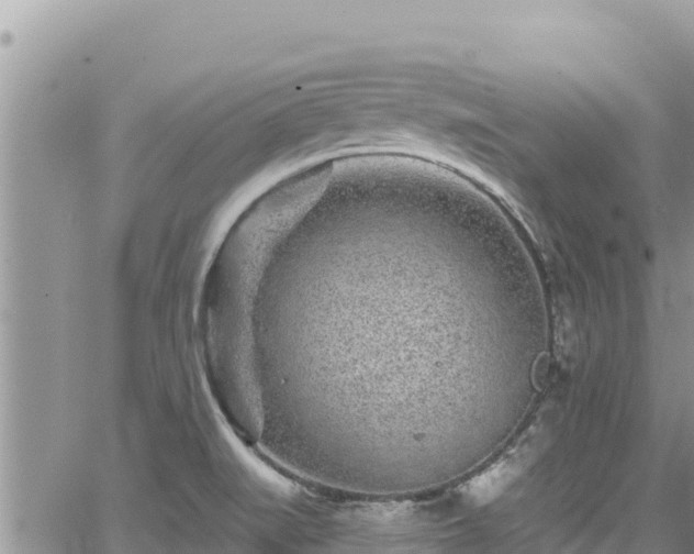 X0000065261519200602211237