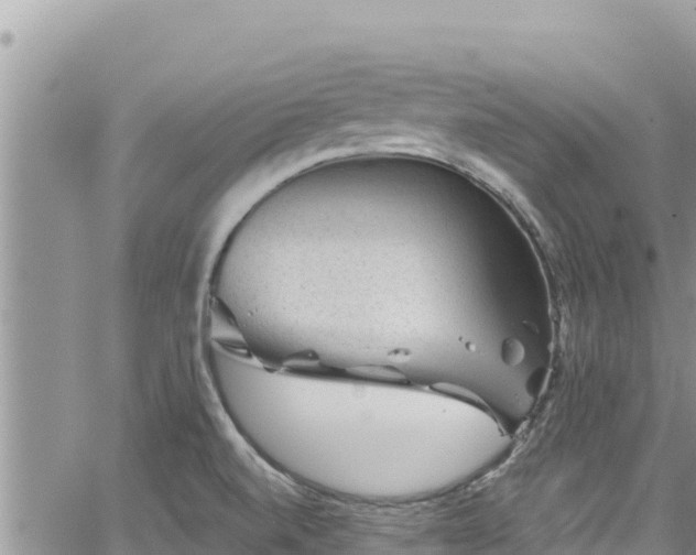 X0000065261520200602211237