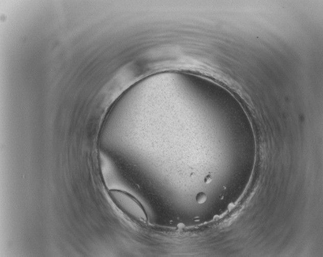 X0000065261521200602211237