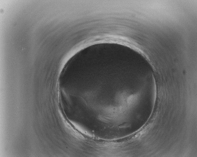 X0000065261522200602211237