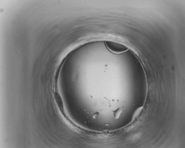 X0000065261523200602211237