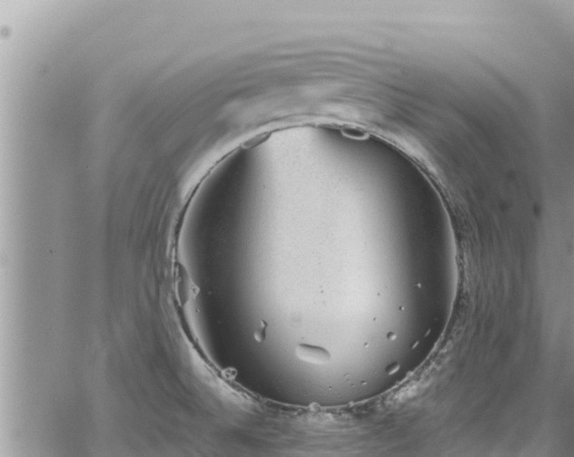 X0000065261524200602211237