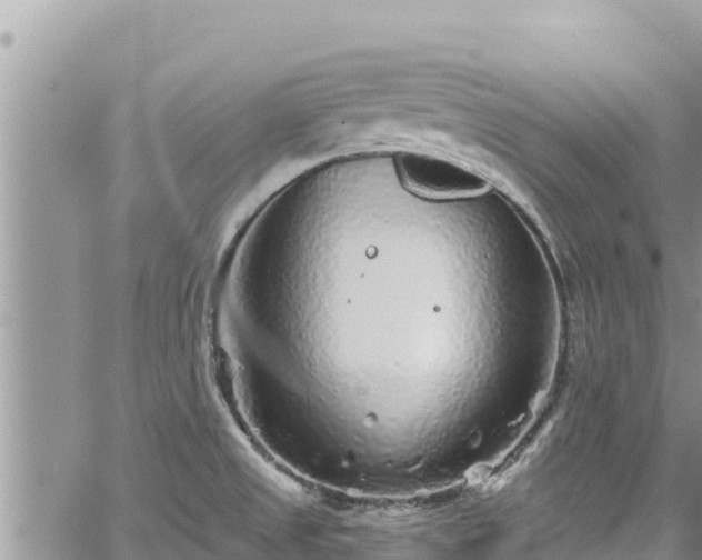 X0000065261525200602211237