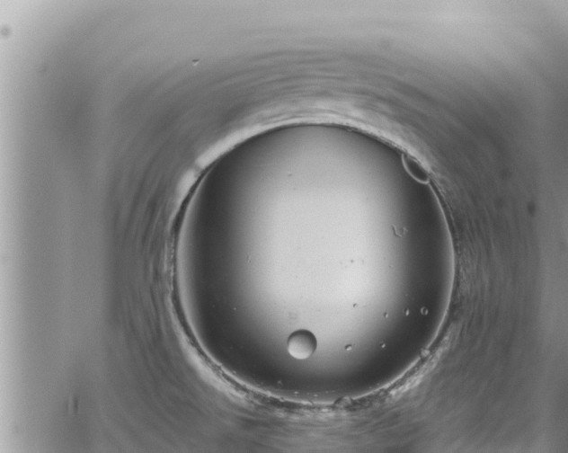 X0000065261526200602211237