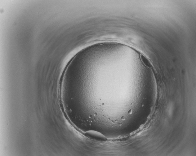 X0000065261527200602211237