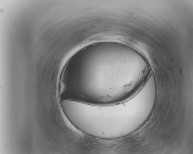 X0000065261528200602211237