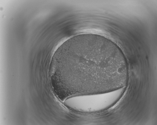 X0000065261529200602211237